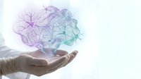 Digital brain with neural network connections floating above open palm representing artificial intelligence and machine learning concepts.