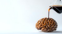 Coffee being poured onto human brain model representing caffeine effects on mental alertness and cognitive function for health and wellness concepts.