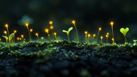 Glowing mushrooms illuminate young green sprouts emerging from dark soil, creating magical forest atmosphere with bioluminescent fungi and new life.