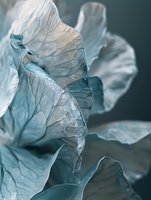 Delicate cabbage leaves in soft teal and white tones create an abstract organic pattern with intricate vein textures and gentle curves, suitable for nature-inspired design.