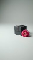 Elegant black gift box with pink ranunculus flower on neutral background for luxury packaging and romantic occasions.