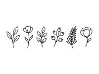 Botanical line art illustrations featuring six isolated plant stems with leaves and flowers on white background, suitable for design projects.