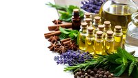 Essential oils in glass bottles with lavender, herbs and spices for aromatherapy, natural wellness and spa treatments on white background.