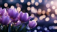 Purple tulips blooming in spring garden with warm bokeh lights creating romantic atmosphere for greeting cards and seasonal decorations.