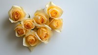 Delicate peach roses arranged in heart shape on white background, soft natural lighting creates gentle shadows. Fresh blooms showcase romantic floral design.