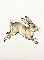 Tan and brown rabbit leaping in mid-jump, isolated on transparent background. Ready for t-shirt designs, clipart, stickers, sublimation, and print-on-demand products.