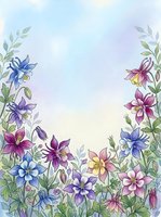 Watercolor floral border with colorful columbine flowers in purple, blue, pink and yellow on soft sky background with copy space.