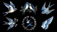 Watercolor swallow birds set isolated on transparent background, ready for stickers, t-shirt design, print on demand, sublimation, and clipart use.
