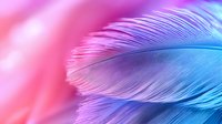 Delicate feather macro with vibrant gradient from pink to blue, soft focus background creates dreamy ethereal mood. Artistic nature photography for creative designs.