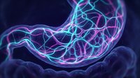 Glowing neon stomach organ with cyan and magenta neural pathways on dark background. Digestive system medical visualization for healthcare and scientific presentations.