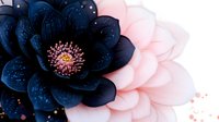 Dramatic contrast of dark navy blue and soft pink petals in surreal flower composition with water drops and glowing center against black background.