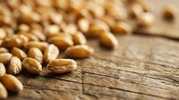 Scattered peanuts in shells on rustic wooden surface with shallow depth of field, suitable for food photography, nutrition content, and culinary design projects.