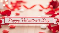 Romantic Valentine's Day greeting card with red ribbon banner, scattered rose petals and soft bokeh lights creating festive holiday atmosphere.