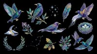 Watercolor birds and botanical elements isolated on transparent background, ready for t-shirt design, clipart, stickers, sublimation and print-on-demand projects.