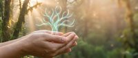 Hands holding glowing tree symbol in forest with sunlight rays, representing environmental protection, growth, and sustainability concepts.