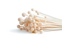 Fresh enoki mushrooms bunch with long white stems and small round caps isolated on white background, raw organic Japanese fungi for cooking.