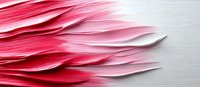 Pink and red paper layers creating dynamic waves and shadows against white background, abstract minimalist macro photography for modern interior design and packaging.