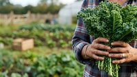 Farmer holding fresh harvested parsley bunch in hands at vegetable garden farm, organic produce picking and sustainable agriculture concept for farming business.