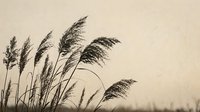 Silhouettes of wild grass and reeds swaying in wind against soft beige sky, suitable for nature backgrounds and peaceful landscape designs.