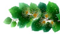 Delicate watercolor branch with green leaves and white fluffy flowers scattered with golden pollen dots, artistic botanical illustration on white background.
