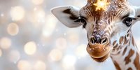 Close up portrait of young giraffe face with snow flakes and bokeh lights in background creating magical winter atmosphere. Gentle expression and soft lighting.