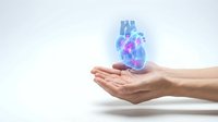 Holographic human heart floating above open hands on white background for medical technology and healthcare innovation concepts.