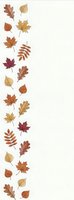 Autumn leaves border with maple oak and birch foliage in warm orange red yellow colors on white background for seasonal design projects.