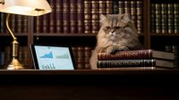 Fluffy Persian cat sitting on stack of business books next to laptop showing financial charts in elegant library office setting with warm lighting.