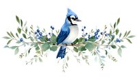 Blue jay bird perched on decorative branch with green leaves and blue berries, watercolor style illustration isolated on white background for nature designs.