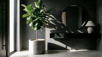 Potted green plant with fresh foliage in concrete planter on windowsill with natural sunlight and shadows, suitable for home decor and interior design projects.
