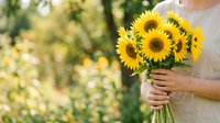 Woman in casual beige shirt holding vibrant sunflower bouquet outdoors in garden setting with blurred green foliage background for seasonal greeting cards and floral arrangements.