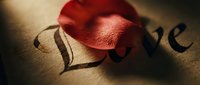 Red rose petal resting on aged paper with elegant calligraphy spelling Love, warm moody lighting, romantic vintage mood for cards and invitations.