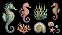 Seahorse and sea life collection isolated on transparent background, ready for t-shirt design, clipart, stickers, sublimation and print-on-demand products.