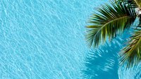 Tropical swimming pool with crystal clear rippling water and palm tree branch casting shadow, overhead view creating relaxing summer vacation atmosphere.