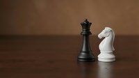 Black queen and white knight chess pieces facing each other on wooden surface representing strategic competition and tactical gameplay.
