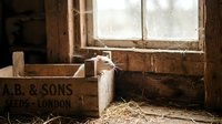 Wooden crate with straw bedding near rustic window in barn setting, suitable for agricultural, farm, and vintage interior design projects.