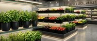 Modern grocery store produce section with fresh vegetables and herbs displayed on sleek black shelving units under bright LED lighting in contemporary market.