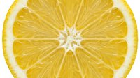 Fresh lemon slice macro shot showing vibrant yellow citrus texture, juicy segments and natural pattern on white background, isolated for design.
