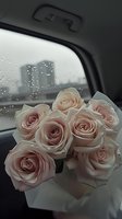 Pale pink roses bouquet in car interior on rainy day with blurred cityscape through wet window, creating romantic urban atmosphere.