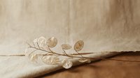 Delicate dried eucalyptus branch with round leaves on neutral beige fabric background for natural home decor and botanical design projects.