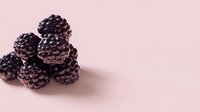 Fresh ripe blackberries arranged on soft pink background with copy space for healthy eating and organic fruit concepts.