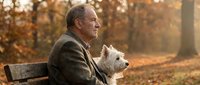 Senior Caucasian man sitting on park bench with white terrier dog during golden hour autumn sunset, enjoying peaceful moment together in warm light.