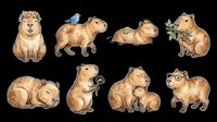 Cute capybara sticker set with eight poses, isolated on transparent background, ready for t-shirt design, print on demand, clipart, and sublimation projects.