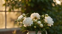 White chrysanthemum flowers with buds in soft natural lighting creating peaceful garden atmosphere for home decor and floral arrangements.