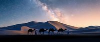 Camel caravan silhouettes crossing desert dunes under starry night sky with Milky Way galaxy. Desert landscape adventure travel concept for tourism marketing.