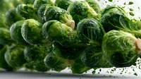 Fresh brussels sprouts with water droplets on white background, showcasing vibrant green color and natural texture for food photography.
