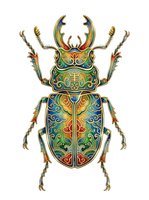 Ornate stag beetle with decorative gold, blue, and multicolored patterns isolated on white background, suitable for design projects and artwork applications.