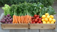 Fresh organic vegetables and fruits arranged in wooden crates - carrots, beets, tomatoes, lemons, and leafy greens from local farm harvest. Perfect for healthy eating concept.