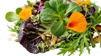 Fresh mixed salad greens with edible orange nasturtium flowers and microgreens on white background for healthy eating and gourmet cooking concepts.