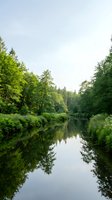 Serene river flowing through lush green forest with dense trees reflecting in calm water, ideal for nature and landscape projects.